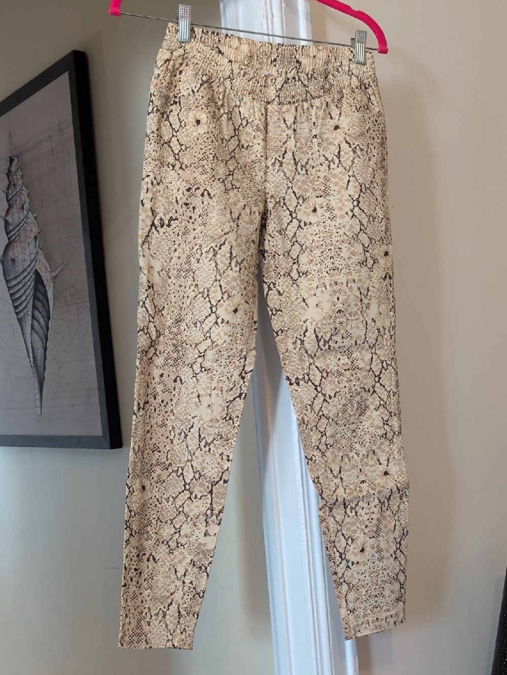 Aloha Python Jets By Spell - Picture 2 of 7